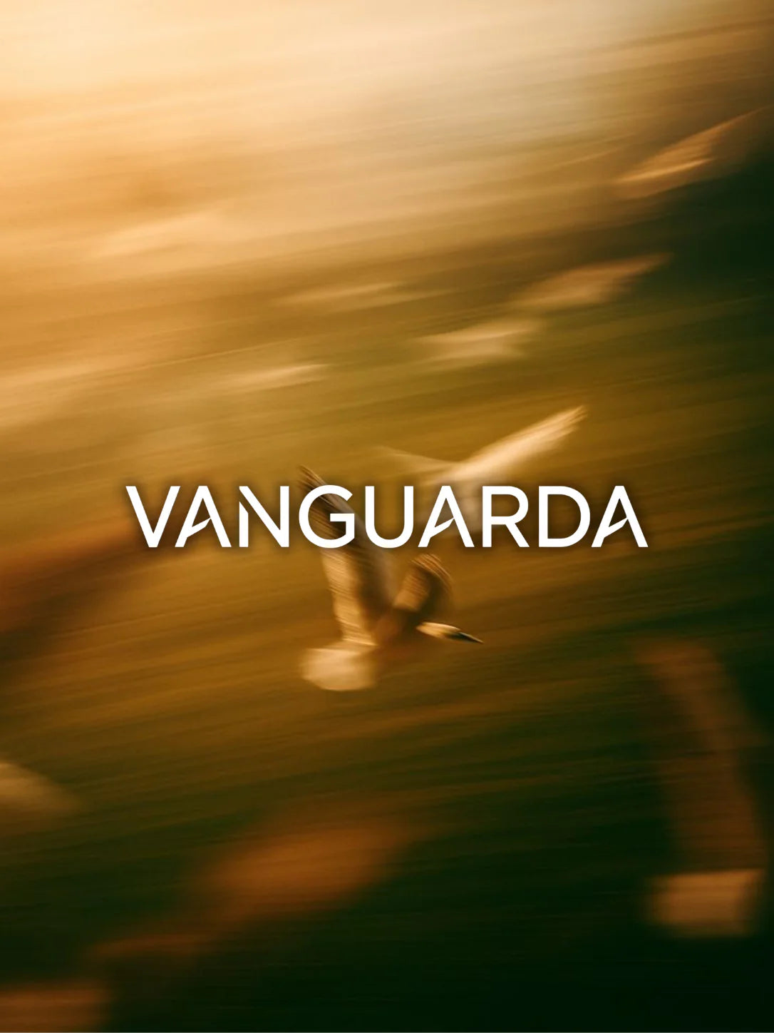 Vanguarda